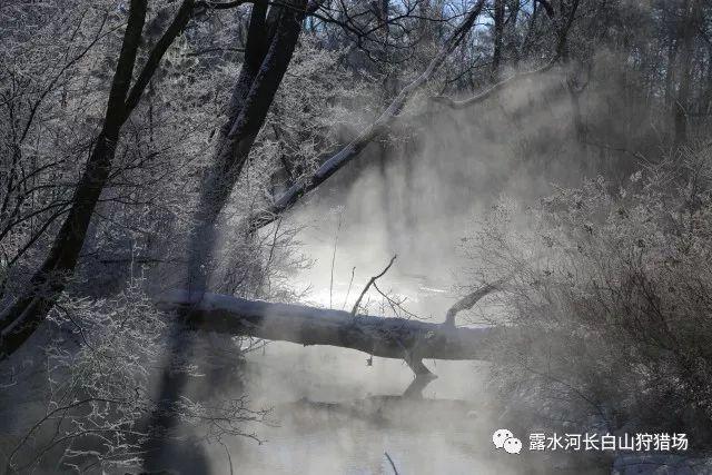 蔡永康在节目中说“冷淡是最高级的情商”，他的这种说法有道理吗？